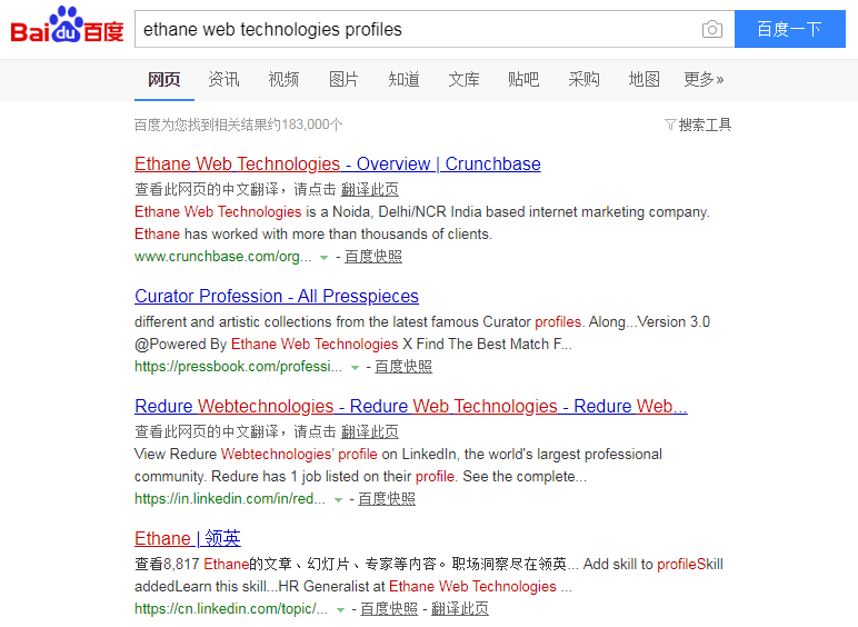 Baidu Search Engine 